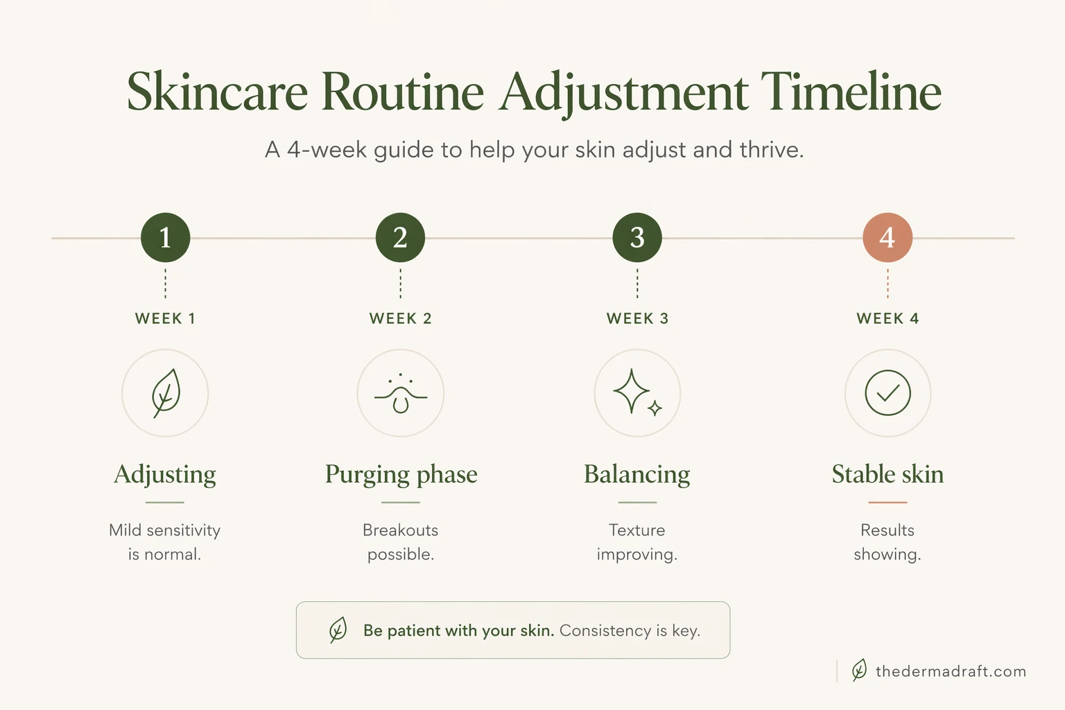 4-week skin adjustment timeline for beginner skincare routine