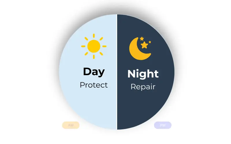 diagram showing skin circadian rhythm with AM protect mode and PM repair mode for morning vs night skincare routine