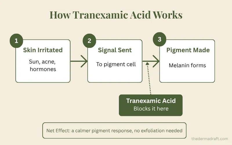 Diagram showing how tranexamic acid blocks the pigment signal in skin